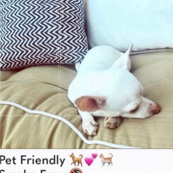 C & C California  women’s long sleeve gray T NWT - Picture 8 of 8